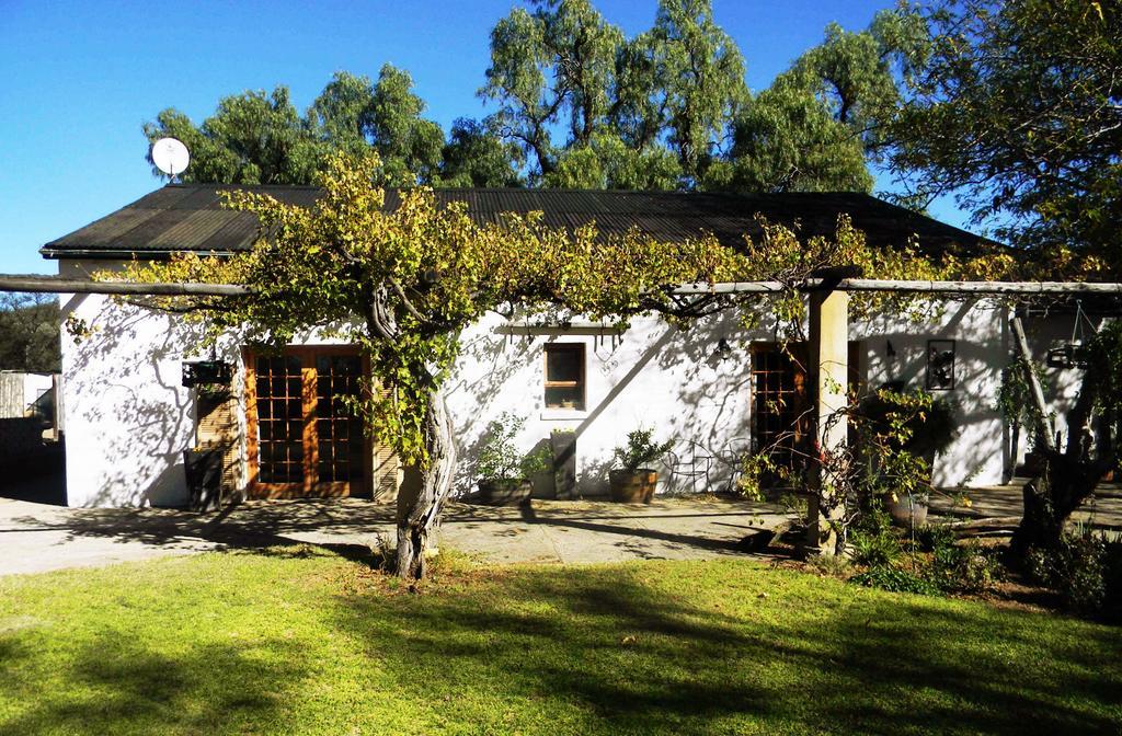 Witkrans Guest Farm Hotel Middelburg  Eksteriør billede